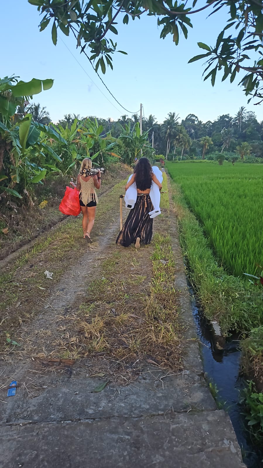 Gypsy Amazon — life in motion