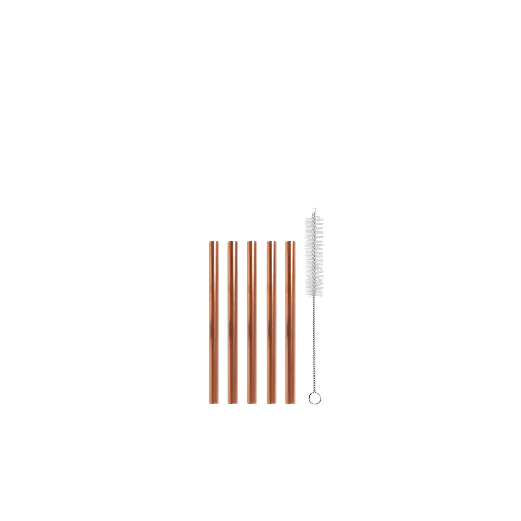 Mini Steel Straws Rainbow (13cm) - Gypsy Amazon Pte Ltd